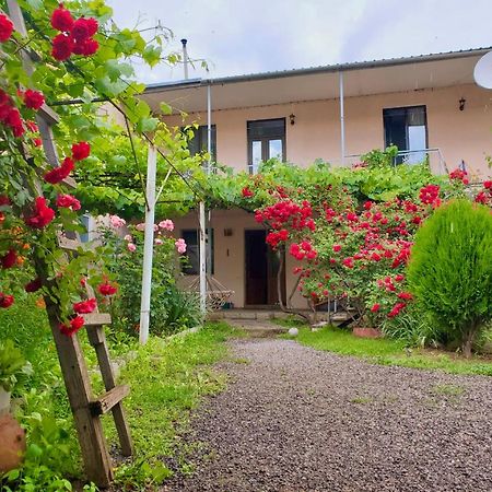 Guesthouse Mtkvari Nakalakevi Εξωτερικό φωτογραφία