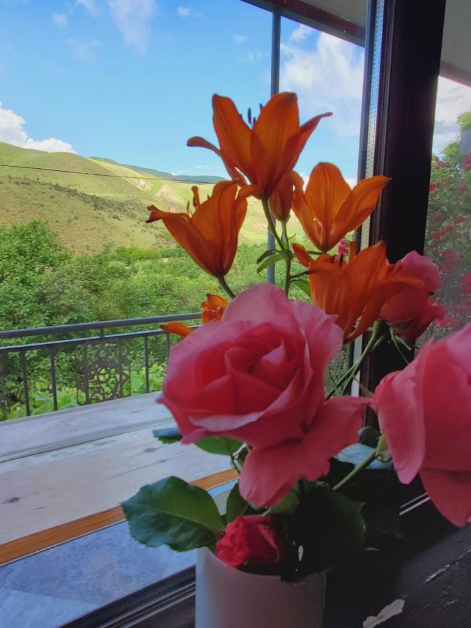 Guesthouse Mtkvari Nakalakevi Εξωτερικό φωτογραφία